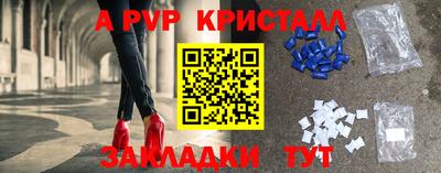 спайс Аша