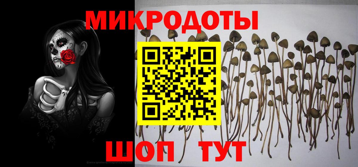 Галлюциногенные грибы мицелий Новороссийск